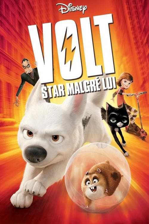 Sortie de Bolt